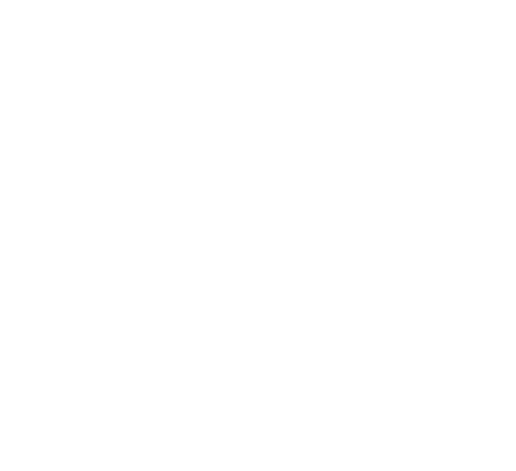 datafen-logo-w